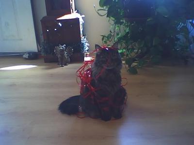 Who messed up the ribbon?  Not me. 