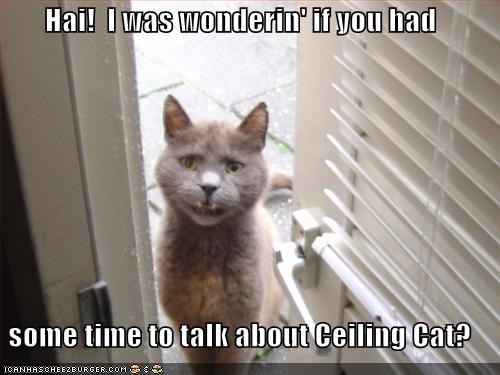 funny-pictures-cat-door-talk-ceiling-cat.jpg