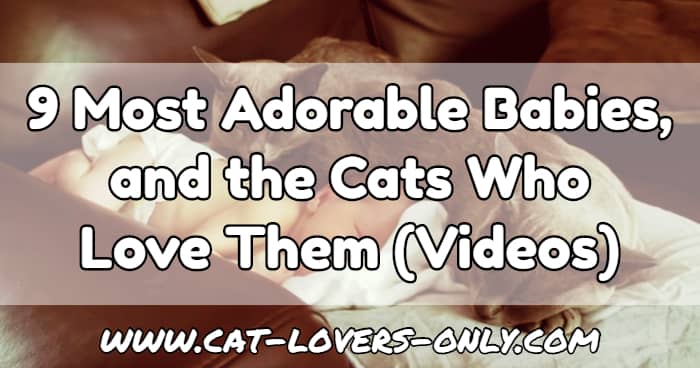 Baby and cats with text overlay 9 Most Adorable Babies and the Cats Who Love Them (Videos)