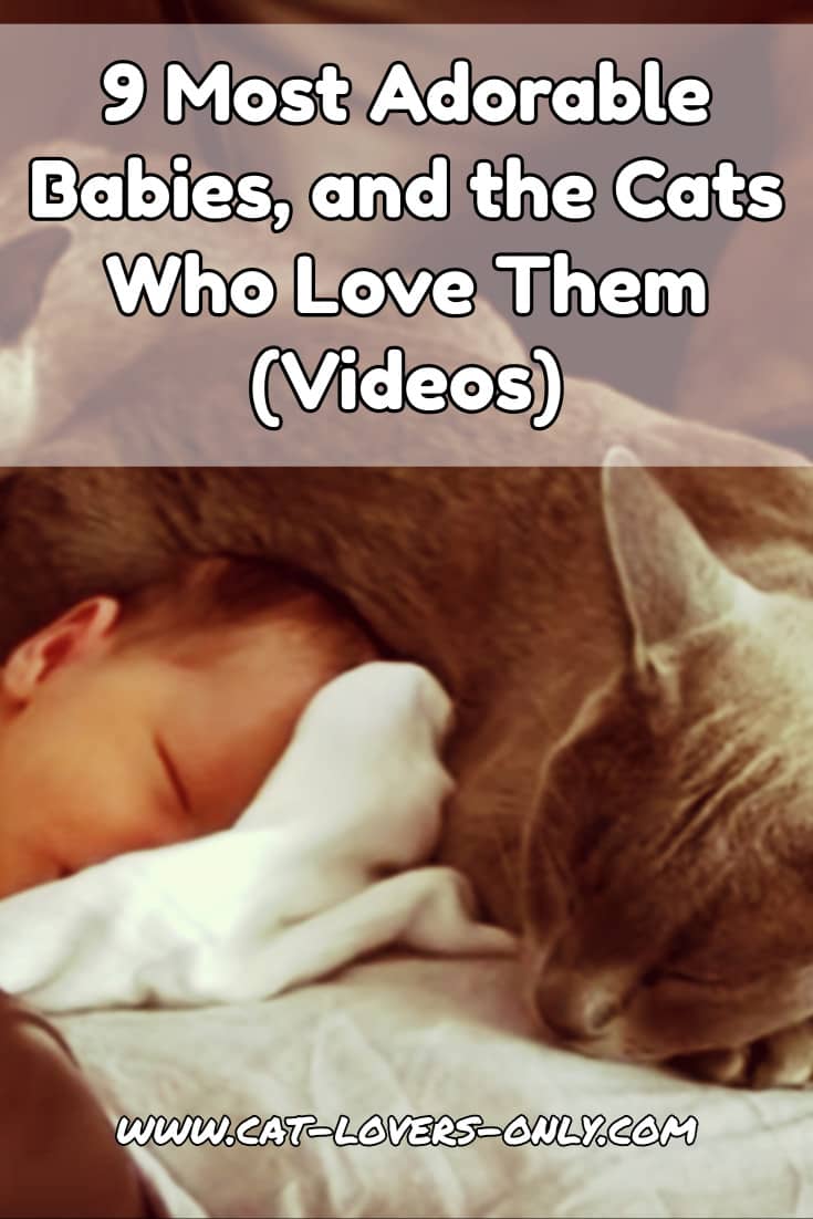Baby and cats with text overlay 9 Most Adorable Babies and the Cats Who Love Them (Videos)