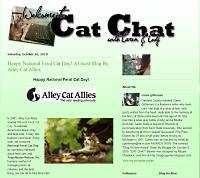 Cat Chat Blog screen shot