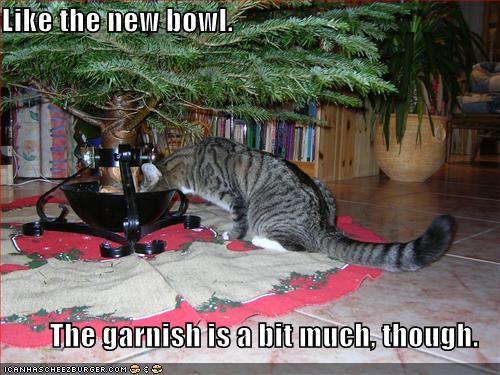 Cat drinks from christmas tree basin