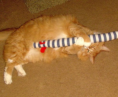 Catnip Snakey Mouse 