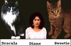 Dracuola, Diane, and Sweetie--his arch enemy