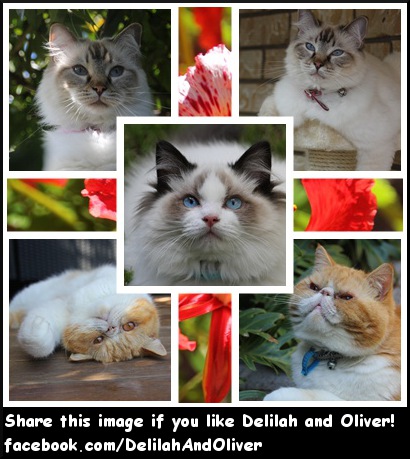 Delilah and Oliver