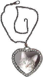 Picture of your cat in a heart locket necklace