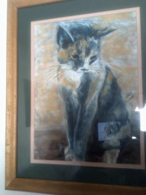 Fitz Kitty calico portrait for sale.