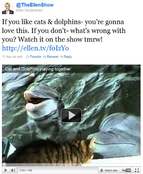 Ellen Show cat and dolphin video tweet