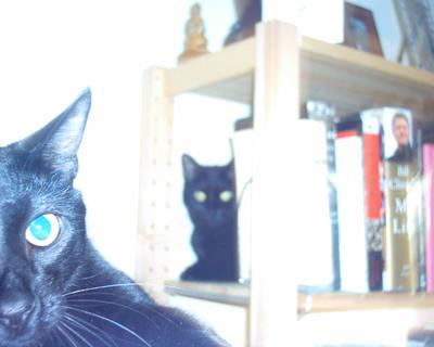 Gloria on the book case, Max in foreground