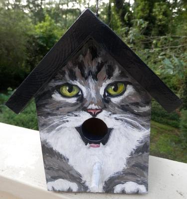 grey and white tabby bird house front