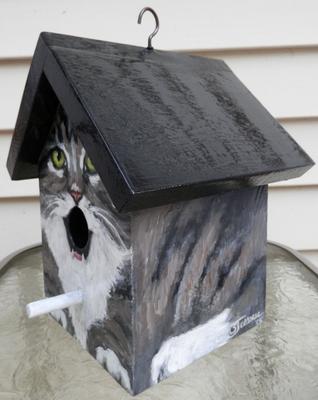 grey and white tabby bird house side