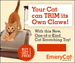 Emery Cat Board Advertisement