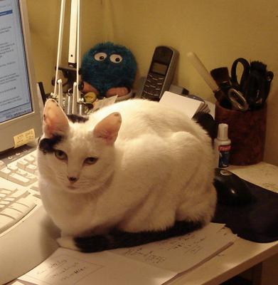 Lily on my desk, aged 5