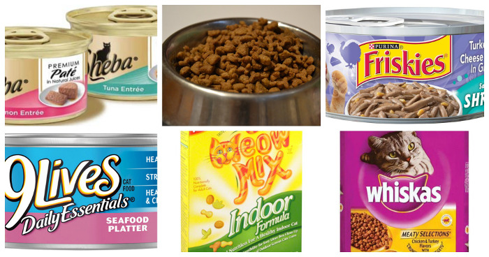 Which cat food is the best