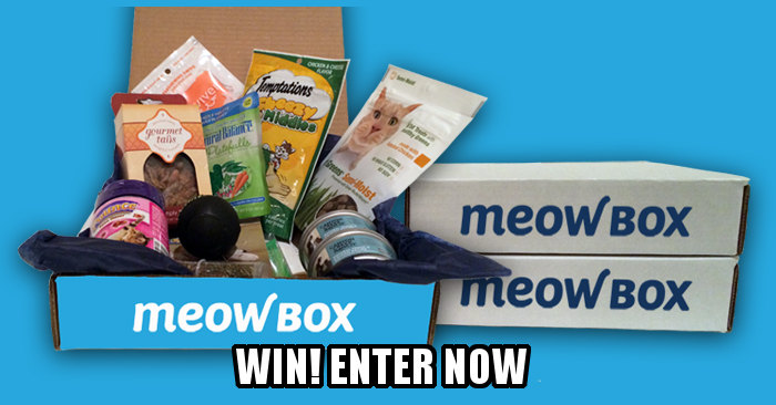 Enter Meow Box contest