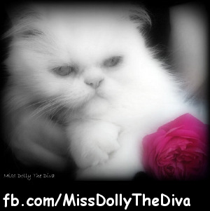 Miss Dolly the Diva