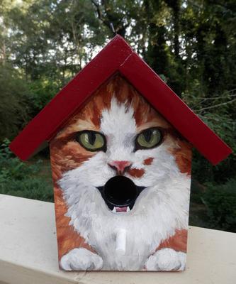 orange and white tabby bird house front