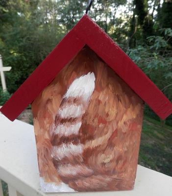 orange and white tabby bird house rear