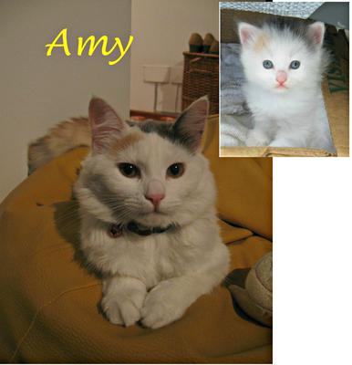 Our Amy, now & then