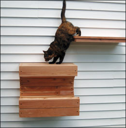 Cedar Outdoor Cat Wall Climbing System