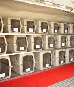 Pet Airways carriers inside plane