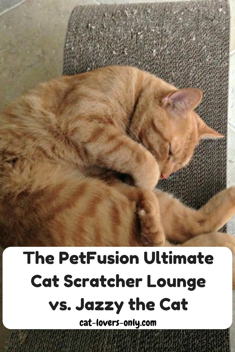 The PetFusion Ultimate Cat Scratcher Lounge vs. Jazzy the Cat