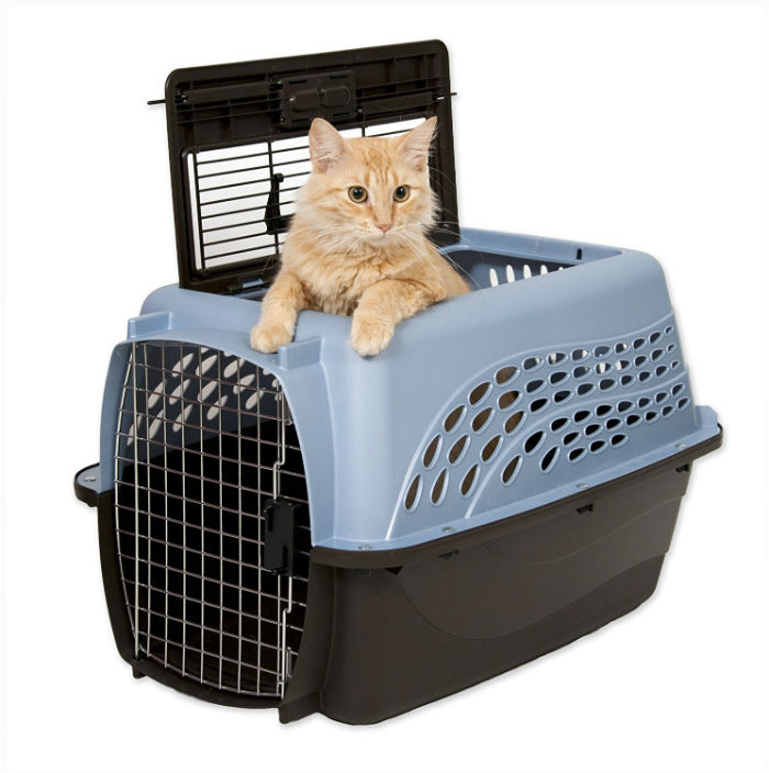 Petmate Top Loading Pet Carrier