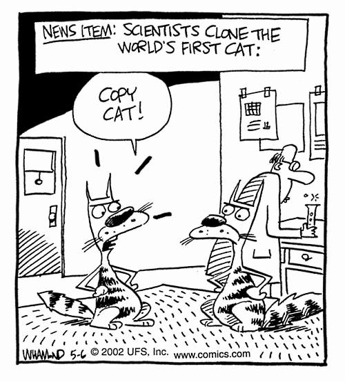 Reality Check Comic Scientists Clone Worlds First Cat