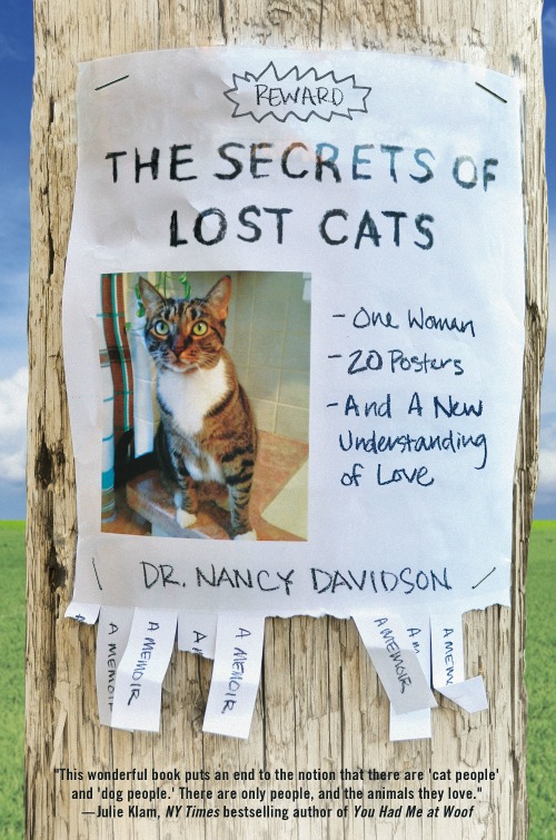 The Secrets of Lost Cats book cover