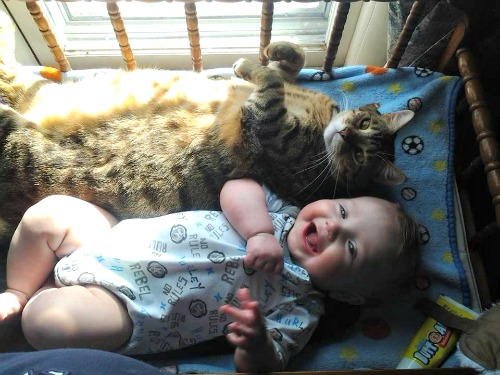 Sedona the tabby with baby Silas