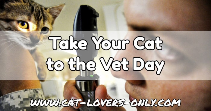 Kitten being examined with text Take Your Cat to the Vet Day