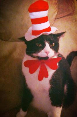 The Cat in the Hat