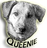 The Queenie Foundation Logo