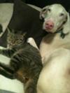 Charlie and Dobe Brother Rohm