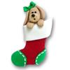 Dog in a Stocking