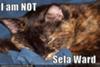 I am NOT Sela Ward