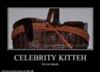 Celebrity Kitteh