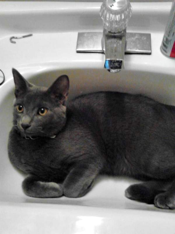 Tyler in the sink