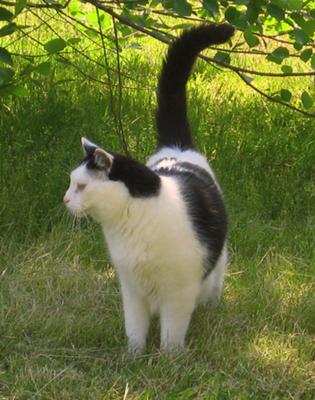 He loved the outdoors!