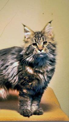April (female breeder)