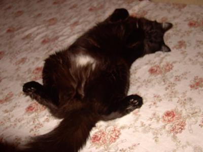 Eat some where else I'm using the table right now!