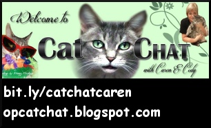 Cat Chat with Caren and Cody