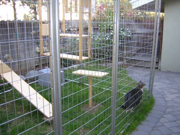 Custom built cat enclosure
