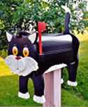 Black Cat Black Cat