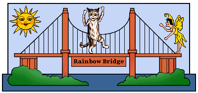 Katzenberg Crossing the Bridge
