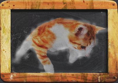 Blackboard Cat