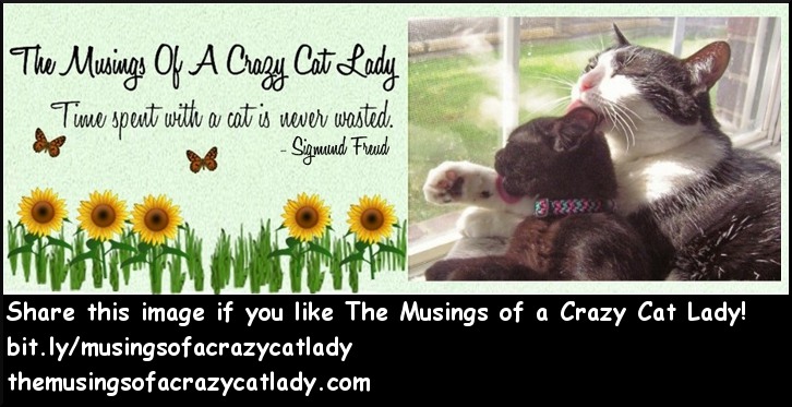 The Musings of a Crazy Cat Lady