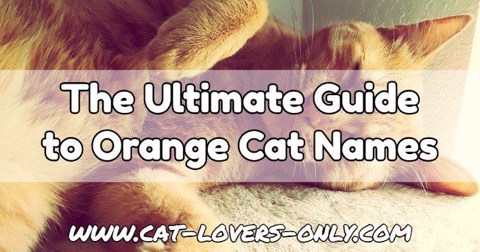 Jazzy the ginger cat with text "The Ultimate Guide to Orange Cat Names."