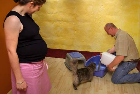 Pregnant woman avoiding litter box duty