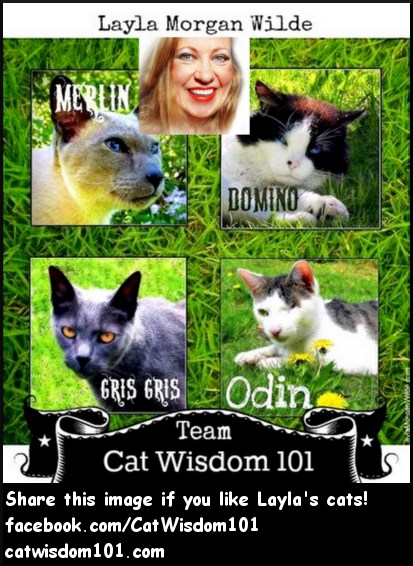Cat Wisdom 101